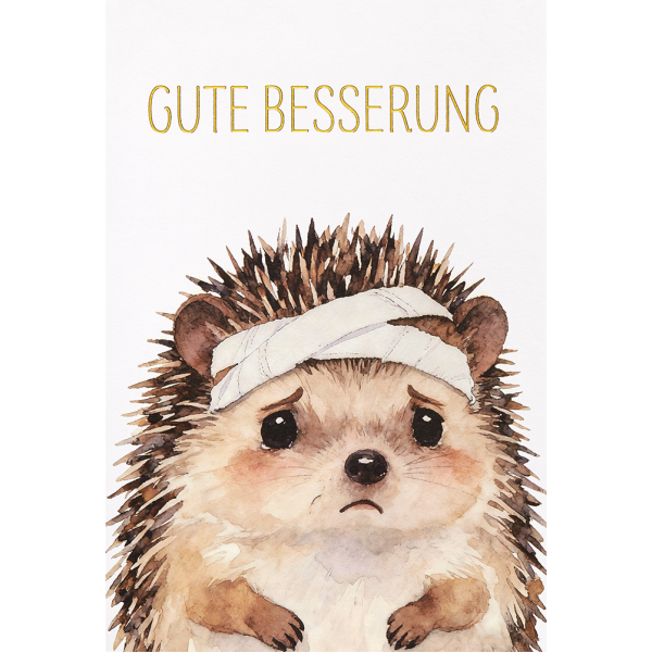 Genesung Grußkarte mit Umschlag Igel mit Verband Gute Besserung