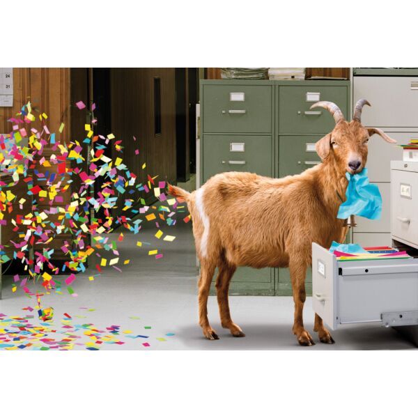 Ohne Text unverpackte Glückwunschkarte mit Umschlag Ziege Konfetti Goat Akten