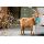 Ohne Text unverpackte Glückwunschkarte mit Umschlag Ziege Konfetti Goat Akten