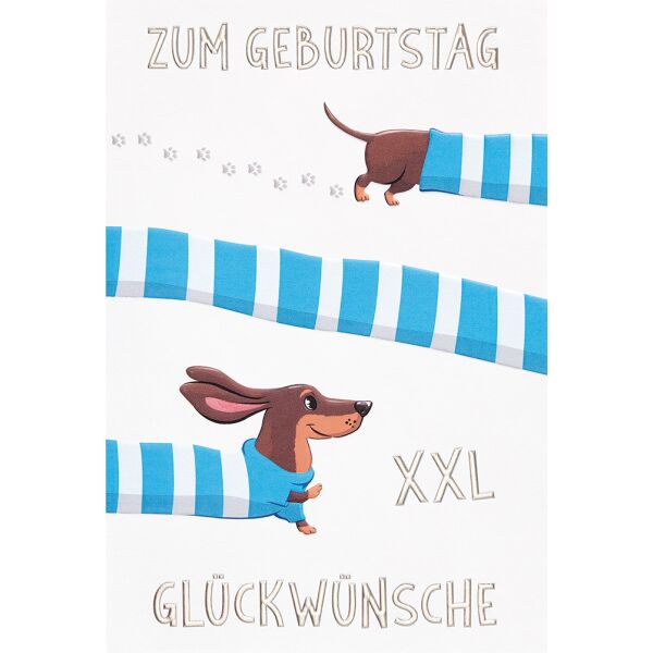 Geburtstag unverpackte Glückwunschkarte mit Umschlag Dackel blau weißer Pullover Zum Geburtstag XXL Glückwünsche