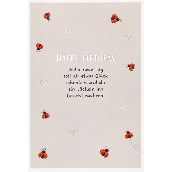 Geburtstag unverpackte Glückwunschkarte mit Umschlag Marienkäfer Jeder neue Tag soll dir etwas Glück schenken und dir ein lächeln ins Gesicht zaubern Happy Birthday