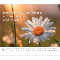 Kalender 2027 Tischaufstellkalender Kleiner Kalender zum Glücklichsein - 14x12 Alpha Edition