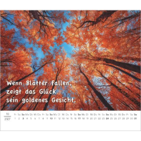 Kalender 2027 Tischaufstellkalender Kleiner Kalender zum Glücklichsein - 14x12 Alpha Edition