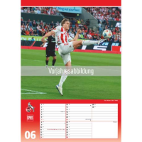 Kalender 2027 Bildwandkalender 1. FC Köln - 29,7x42 Drahtkammbindung Dumont