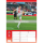 Kalender 2027 Bildwandkalender 1. FC Köln - 29,7x42 Drahtkammbindung Dumont