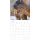 Kalender 2027 Broschürenkalender Tierbabys - 30x30 Ringösenheftung Alpha Edition