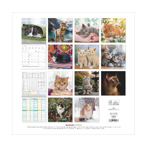 Kalender 2027 Broschürenkalender Katzen - 30x30 Ringösenheftung Alpha Edition