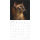 Kalender 2027 Broschürenkalender Katzen - 30x30 Ringösenheftung Alpha Edition
