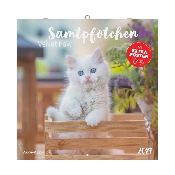 Kalender 2027 Broschürenkalender Samtpfötchen - 30x30 Ringösenheftung Alpha Edition