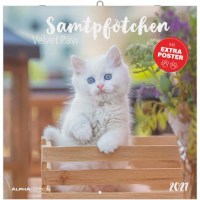 Kalender 2027 Broschürenkalender Samtpfötchen -...