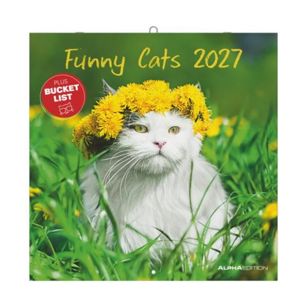 Kalender 2027 Broschürenkalender Funny Cats - 30x30 Ringösenheftung Alpha Edition