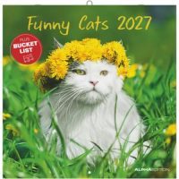 Kalender 2027 Broschürenkalender Funny Cats - 30x30...