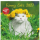 Kalender 2027 Broschürenkalender Funny Cats - 30x30 Ringösenheftung Alpha Edition