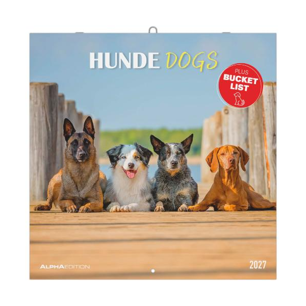 Kalender 2027 Broschürenkalender Hunde - 30x30 Ringösenheftung Alpha Edition
