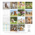 Kalender 2027 Broschürenkalender Hunde - 30x30 Ringösenheftung Alpha Edition