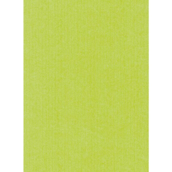 Geschenkpapier - Natronkraftpapier - Röllchen - 70x150 cm -grün